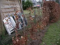 IMGP5809.webp