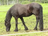 Bild 1630.webp