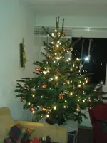 016.webp