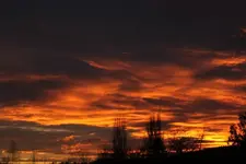 28.11. (2).webp