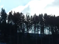 SAM_2539.webp