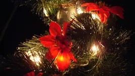 DSC02779.webp