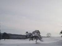 winterschönheit Kopie.webp