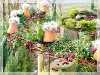 Spielereien am Teich (4).webp