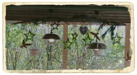 Terrassensterne (1).webp