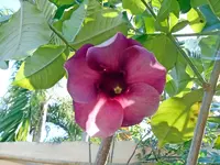 DSCN3372.webp