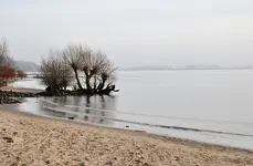 Elbe2.webp