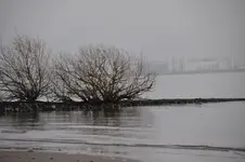 Elbe7.webp