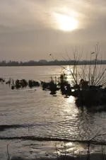 Elbe9.webp