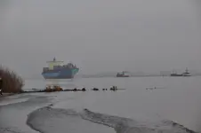 Elbe10.webp