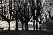 elbe11.webp
