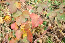 DSC_6574.webp