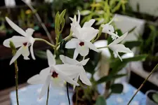 IMG_0244 - Kopie.webp