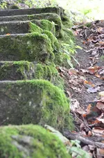 12 avenso.webp