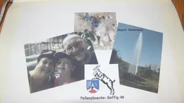 GEDC0027.webp