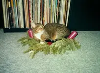 Scan0004.webp