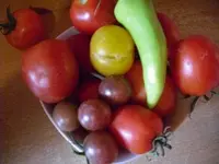 17.webp