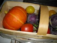 20.webp