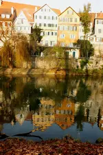 2013_1204Herbst0030tü.webp