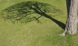 Schatten.webp