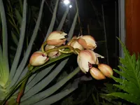 DSCN0036.webp