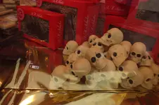 2013_1204Herbst0060.webp