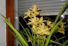 DSCN0225.webp