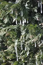 Wassertropfen.webp