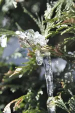 Wassertropfen4.webp