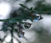 Wassertropfen5.webp