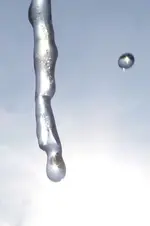Wasdsertropfen6.webp