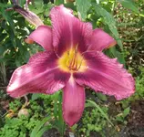 DSCF5459_2.webp