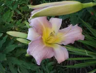 DSCF1774.webp