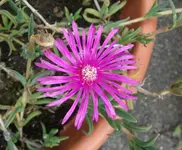 DSCF7014.webp