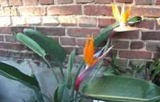 DSCF1662.webp