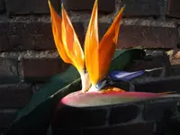 DSCF1663.webp