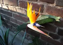 DSCF1664.webp