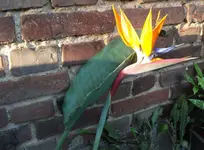 DSCF1665.webp