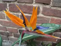 DSCF1682.webp