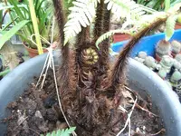 DSCF1182.webp