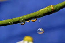 Tropfen13.webp