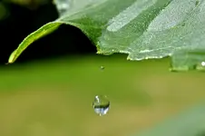 Tropfen1.webp