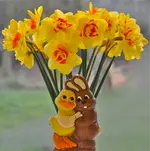 Ostern.webp