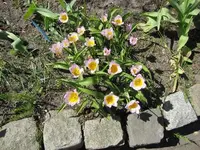 IMG_0146.webp