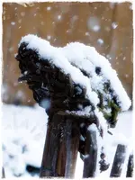 der erste Schnee (8).webp