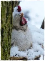 der erste Schnee (7).webp