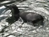 Bild 1163.webp