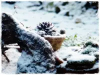 der erste Schnee 1.webp