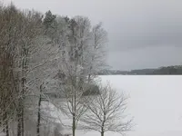 P1100832.webp