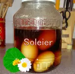 Soleier (3).webp